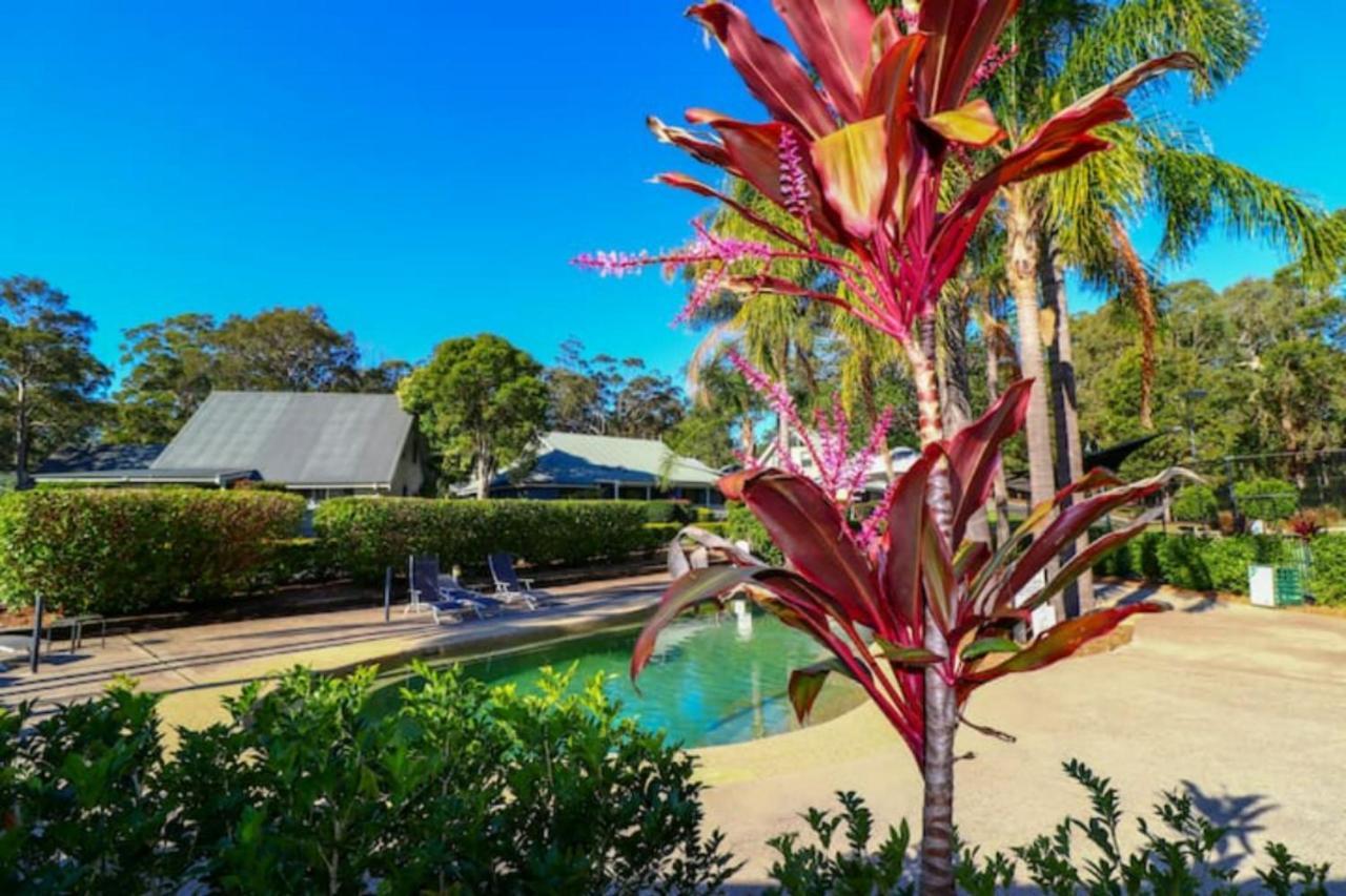 Wattlebird Treetop Townhouse Villa Cams Wharf Exterior photo